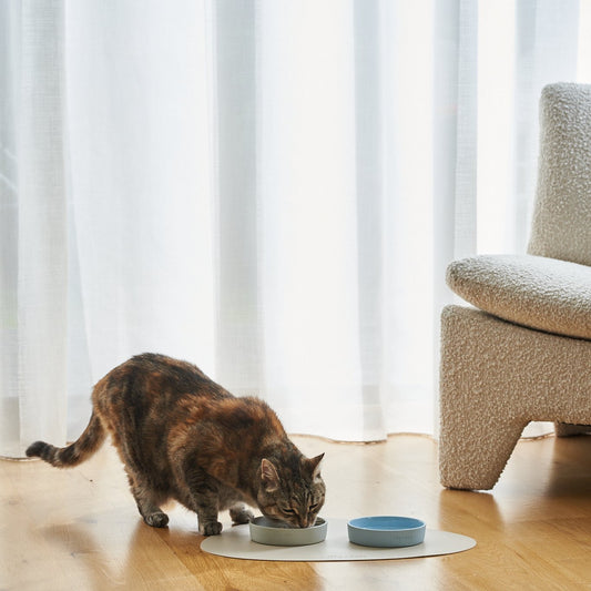 cat bowls-0